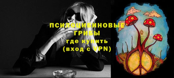 индика Михайловск