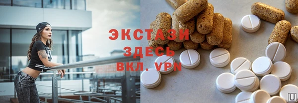 индика Михайловск