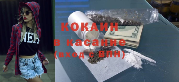прущие грибы Михайловка