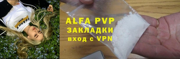 индика Михайловск