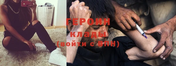 прущие грибы Михайловка