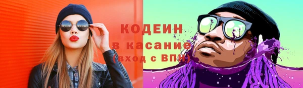 прущие грибы Михайловка