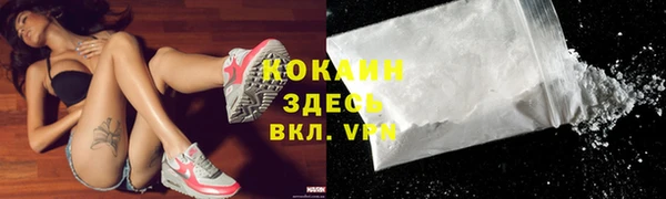 прущие грибы Михайловка