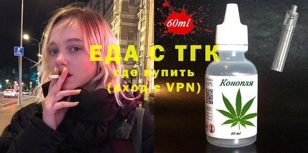 индика Михайловск