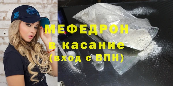 индика Михайловск