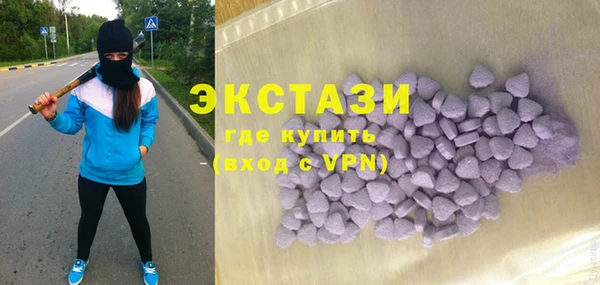 индика Михайловск